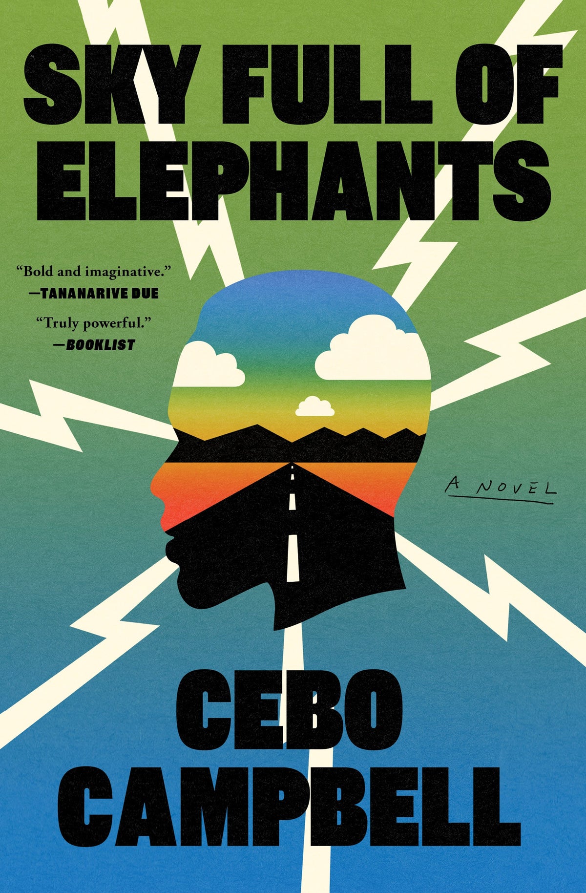 Book Review: Sky Full of Elephants